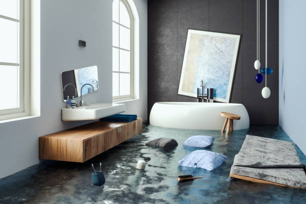 Best Residential water damage restoration  in Oskaloosa, IA