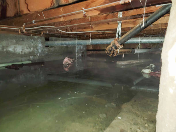 Best Water damage restoration near me  in Oskaloosa, IA