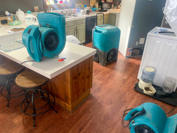 Best Mold removal after water damage  in Oskaloosa, IA