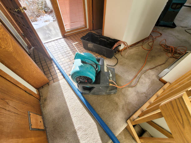  Oskaloosa, IA Water damage restoration Pros