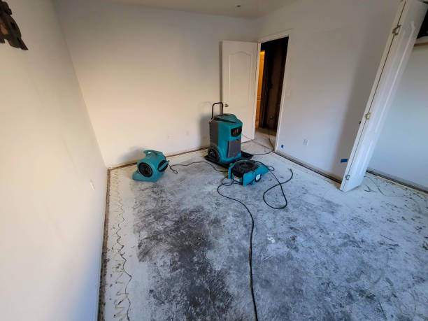 Best Sewage cleanup and water damage restoration  in Oskaloosa, IA