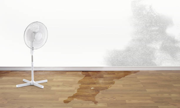 Best Local water damage restoration  in Oskaloosa, IA