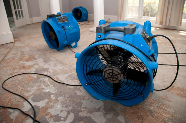Best Flooded house restoration  in Oskaloosa, IA