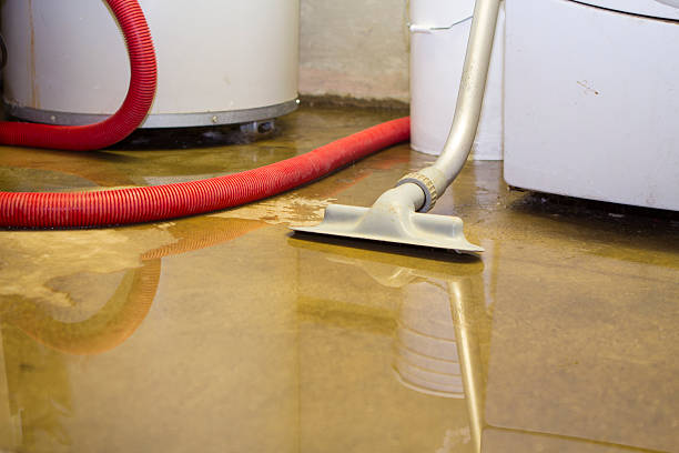 Water damage restoration mold remediation in IA