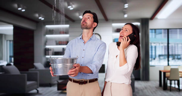 Best Basement water damage restoration  in Oskaloosa, IA