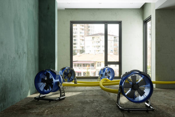 Best Water damage restoration mold remediation  in Oskaloosa, IA