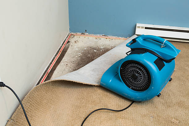 Best 24/7 water damage repair  in Oskaloosa, IA
